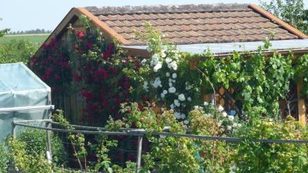 Termine Bezirksverband der Gartenfreunde Böblingen e. V.